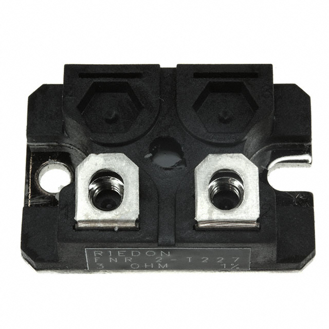 FNR2E-3RF1 Riedon  Widerstände für die Chassismontage